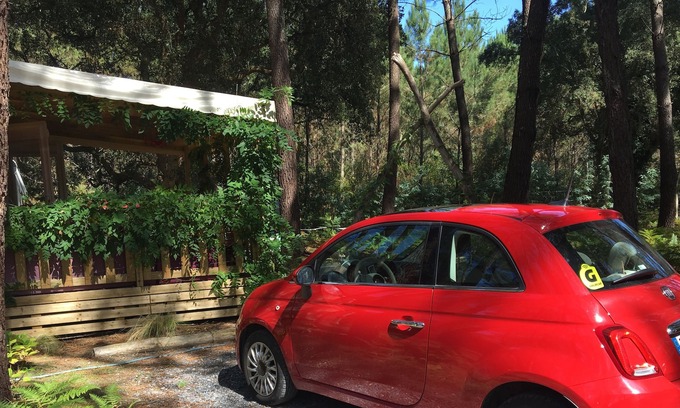 Ondres Cabin | Lovely Cabin, Sleeps 8 people, Beautiful Swimming Pool, Walk to Atlantic Beach!