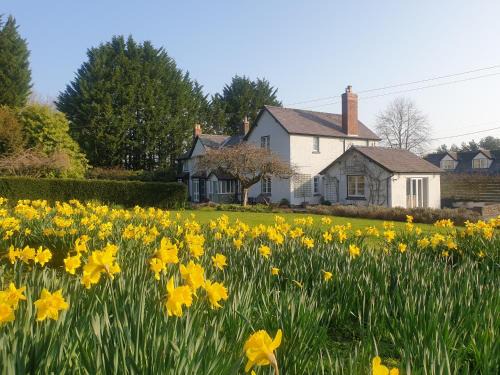 Adforton Bed & Breakfast | Lower House B&B and Cottages, Adforton