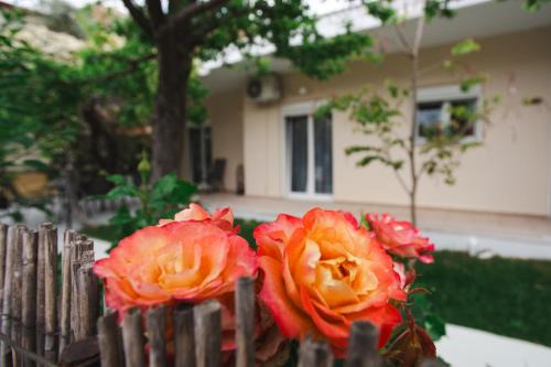 Kamena Vourla Apartment | LUCY APARTAMENT
