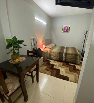 San Lorenzo Apartment | Lujoso ,cómodo MONOAMBIENTE
