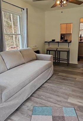 True Apartment | Lux Cabin By The Pipestem creek Pet friendly