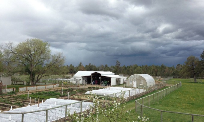 Alfalfa Apartment | Luxe 2-BR Loft apt. on a Flower Farm in fabulous Bend with AC, WiFi, etc.!