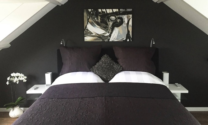 Hoofddorp Bed & Breakfast | Luxury attic with private kitchen, toilet, bath, breakfast & Netflix near Schiphol