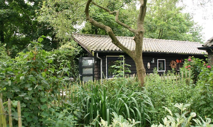 Schoorl House | Luxury detached 2-person bungalow on a main road in a wooded area