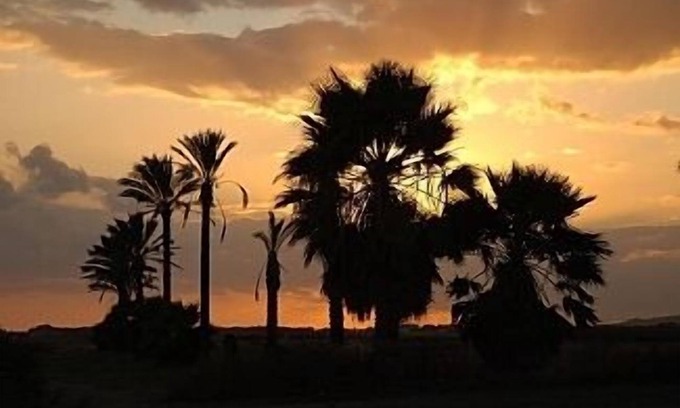 Mazotos Villa | Luxury Detached Villa Private Secluded Pool Views Over Fields And An Olive Grove