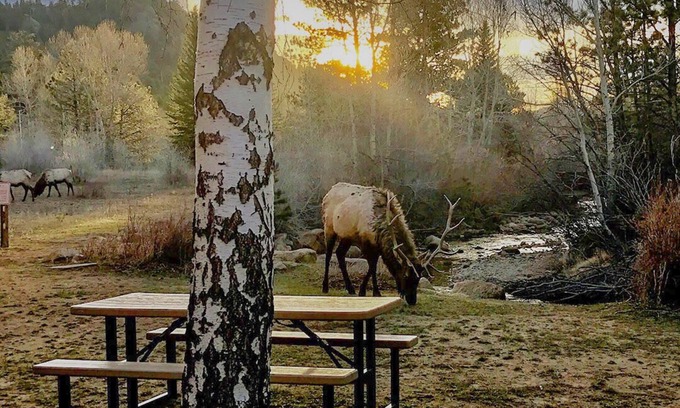 Estes Park Condo | “Luxury Living by the River: Embrace Comfort, Surrounded by Wildlife. 2B2Bcondo