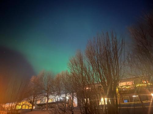 Tromso Apartment | Lykkebo