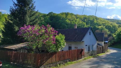 Haromhuta Apartment | Mókusles Vendégház