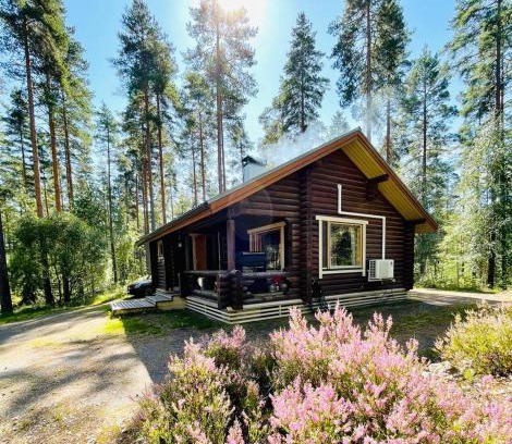 Tammela House | Mökki saunalla mäntymetsässä