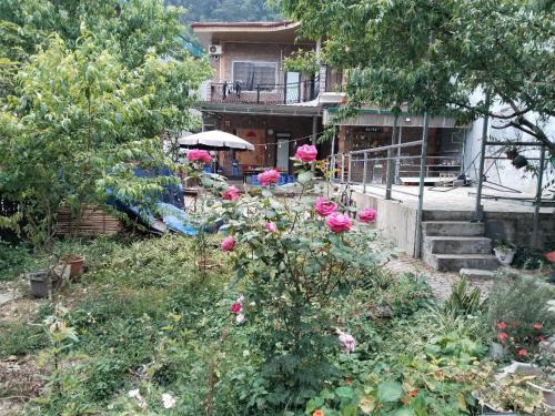 Meo Vac House | Mẩy Gấu Homestay
