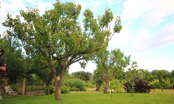Lizzanello Apartment | M2 Don Vito Masseria old building recently renovated
