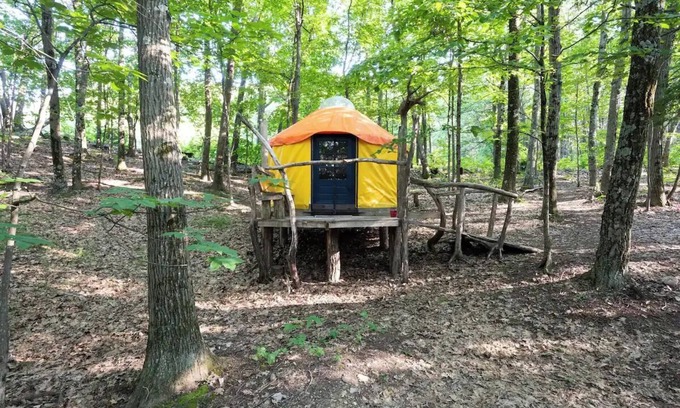 Coeymans Hollow Cabin | Magic Forest Farm Yurt