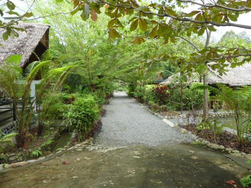 Bohorok House | Magpie homestay & jungle trekking especially for guest trekking with us
