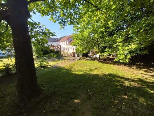 Raon-l'Etape Apartment | Maison à 8 min de Saint Dié en lieu calme proche nature Lacs, forêt, Parcs