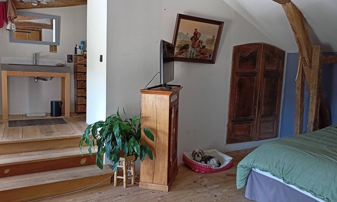 Cizos House | Maison de Charme au Cœur D'un Très Grand Parc Arboré
