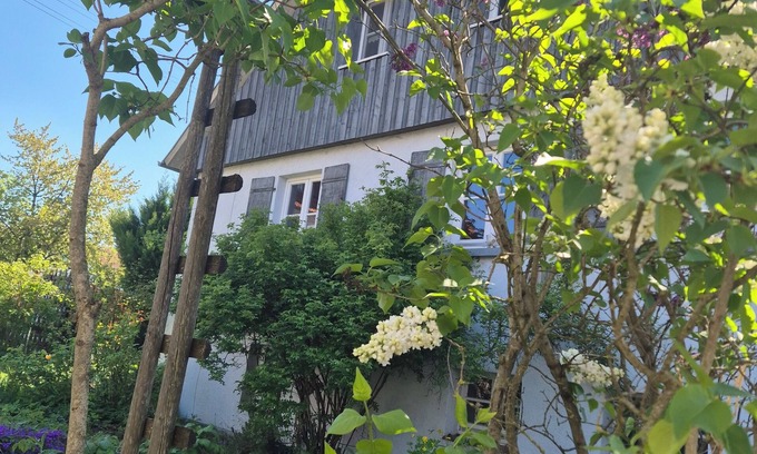 Genkingen Other | Maison Fuchs - Fantastic former farmhouse with garden, WiFi and BBQ