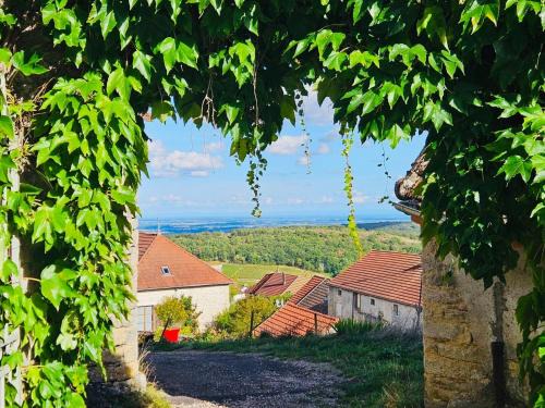 Baubigny House | Maison unique avec vue sur les vignes