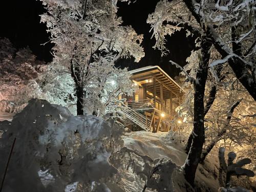 Curacautin House | Malga Andina
