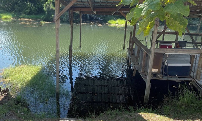 Donalsonville Cottage | Man-cave w/pool table, dock w/2 boat slips on Lake Seminole! Fisherman’s Heaven