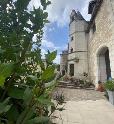Bourre House | Manoir des Roches 41
