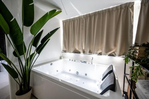 Cava de' Tirreni Bed & Breakfast | Mariarita's Suites