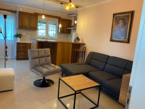 Gjirokaster Villa | Martin Villa Gjirokaster