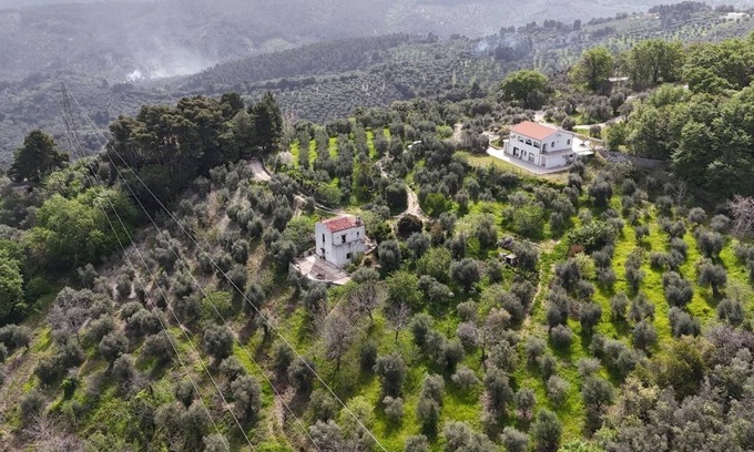 Vico del Gargano Bed & Breakfast | MATHEMATIC GREEN - A look at nature