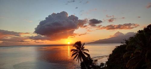 Vaira'o Hostel | Maui Homestay Vue Océan Exceptionnelle & Baleines en Saison