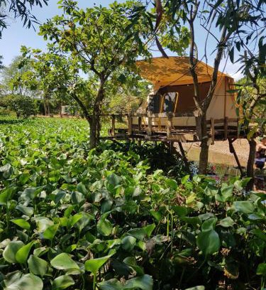 Vinh Cuu Other | Meeto Camping Hồ Trị An