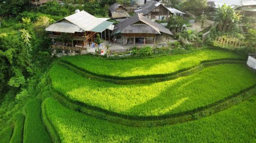 Sa Pa House | Merly House