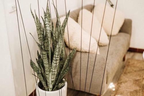 Đien Bien Apartment | Michi house Nguyễn Thái Học
