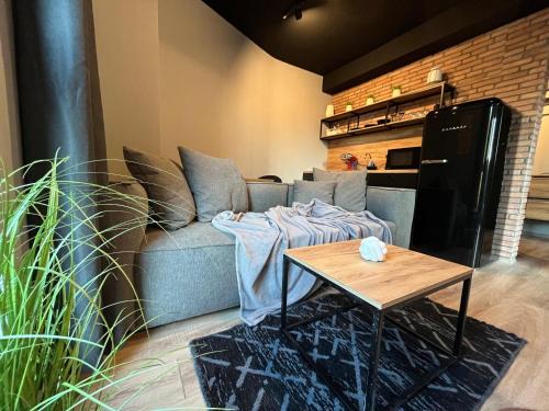 Mavrovo Apartment | Mickitos Apartments - Mavrovo