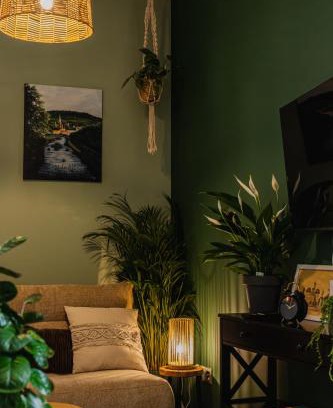 Nowa Ruda Apartment | Mikroklimat