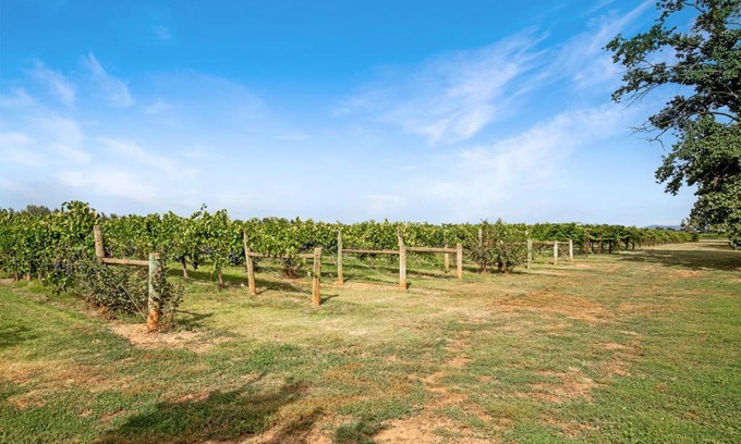 Milawa House | Milawa Vineyard Views - Guesthouse 2