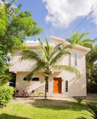 Cozumel House | Mini Pini Birdwatching and cenote loft4 you only