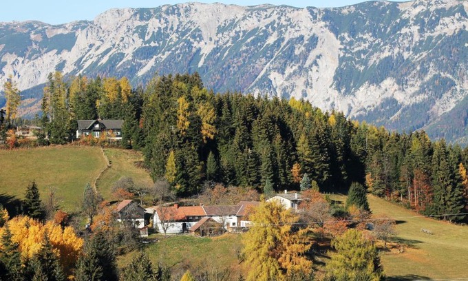Payerbach Apartment | Miniferienwohnung für unkompliziertes Naturliebhaberpärchen