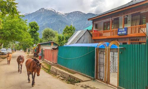 Laripora House | Mir guest house