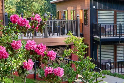 Osorno Apartment | Mirabosque aparment Ejecutivos 6