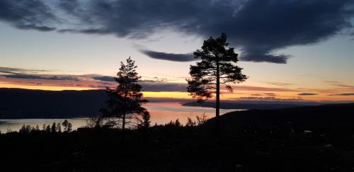 Hurdal Municipality Villa | Mjøshytte