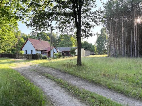 Chlewiska House | Moda Na Mioda - DOM W LESIE