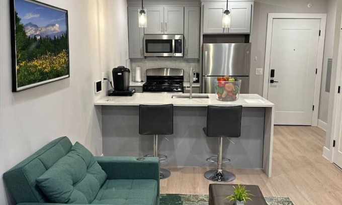 Jersey City Apartment | Modern 1-BR Apt 15 min to NYC (wsh.dry)