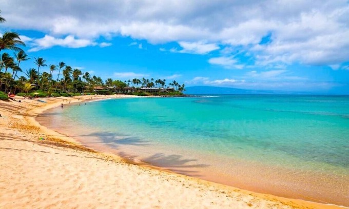 Napili Condo | Modern Beautiful 1BR Napili Bay Get-Away Condo
