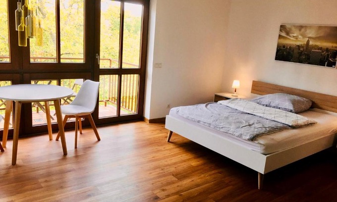 Neustadt an der Weinstrasse Apartment | Modernes Studio im Herzen von Neustadt: PfalzLiebe