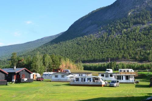 Skjaak Other | Mogard