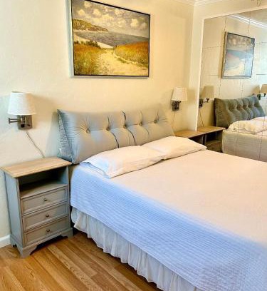 Amazon Apartment | Monet Studio