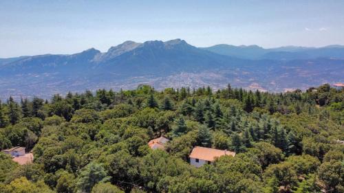 Nuoro Apartment | Monte Ortobene 1