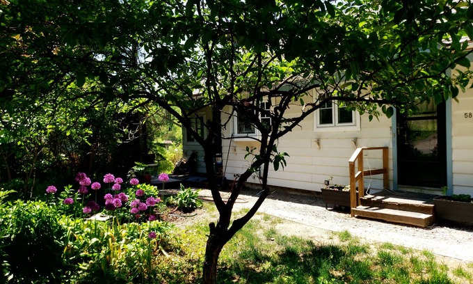 Montpelier House | Montpelier 3 bedroom house located on Terrace St a 5 min walk to downtown.