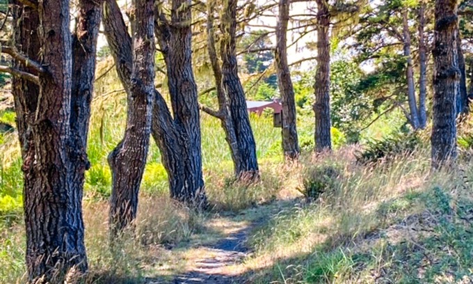 Manchester House | Mtn-view dog-friendly home with private hot tub, fireplace, patio, & grill