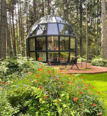 Lohusalu House | Mugavustega majake mereäärses männikus.