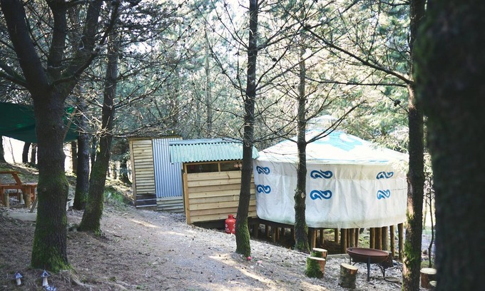 Glandyfi Cabin | Mushroom Yurt set in 4 acres of woodland and lakes